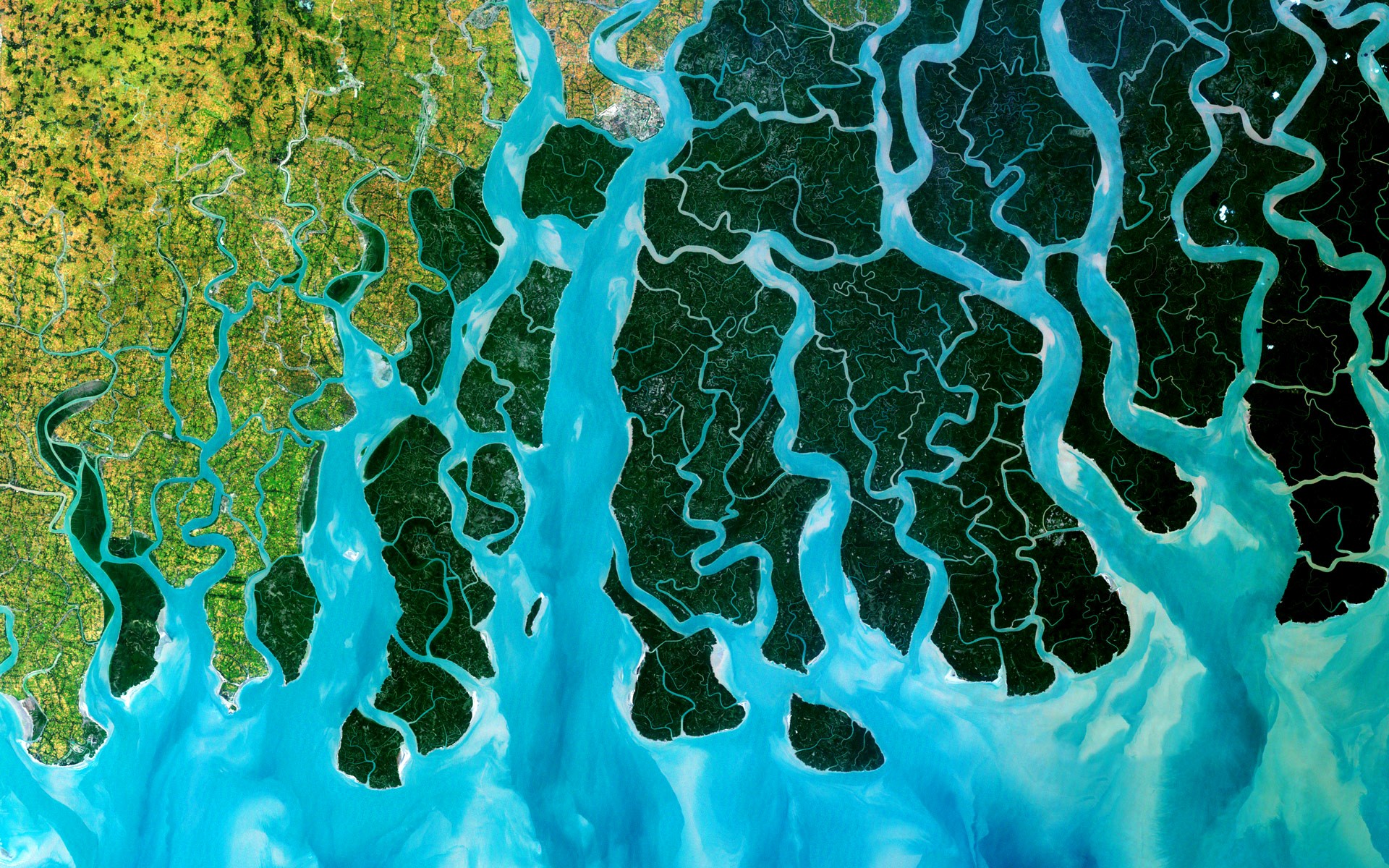 Впадает индийский океан. Дельта реки ганг. Дельта реки ганг Бангладеш. Дельта Ганга и Брахмапутры. Дельта реки ганг фото.